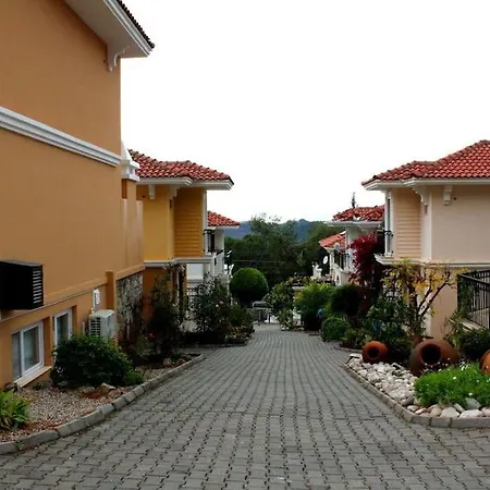 Mida Junior * Fethiye